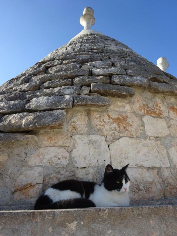 Maison d'hôtes Trullo Cicerone à Martina Franca Extérieur photo